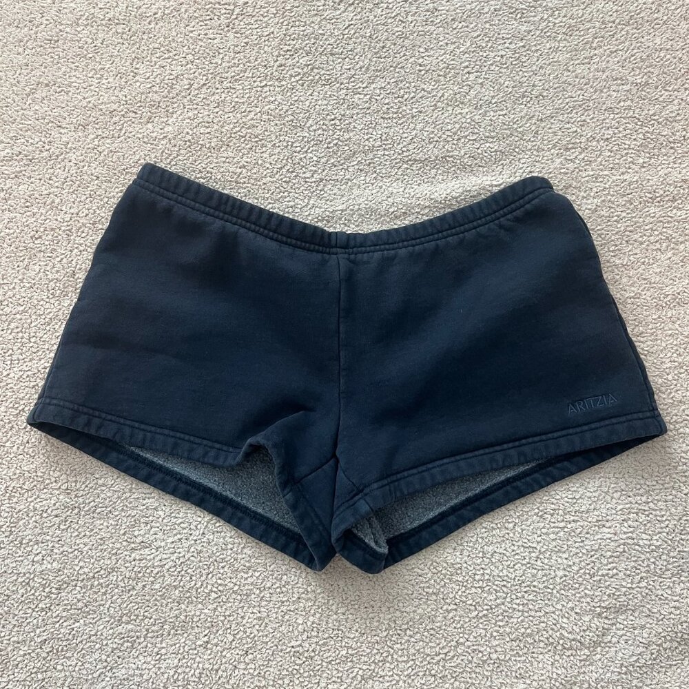 Aritzia Tna Sweatfleece Cozy Fleece Shorts - small